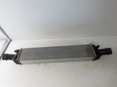 Intercooler radiator