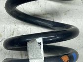 Rear coil spring