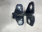 Rear door lower hinge