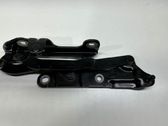 Tailgate/trunk/boot hinge