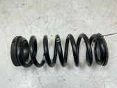 Rear coil spring