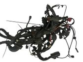Engine installation wiring loom