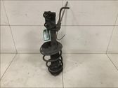 Amortiguador delantero con muelle espiral