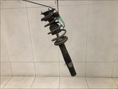 Front shock absorber with coil spring