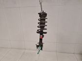 Front shock absorber with coil spring