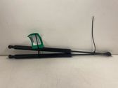 Tailgate/trunk strut/damper