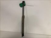 Tailgate/trunk strut/damper