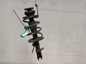 Front shock absorber with coil spring