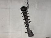 Front shock absorber with coil spring
