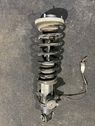 Rear shock absorber with coil spring