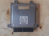 Unité de commande, module ECU de moteur