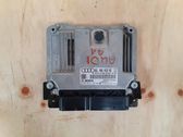 Engine control unit/module ECU