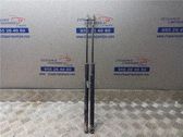 Tailgate/trunk/boot lid buffer