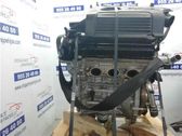 Motor completo