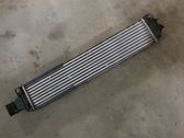 Intercooler radiator