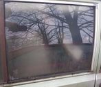 Rear door window glass