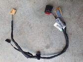 Cableado de puerta trasera