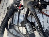 Faisceau de câblage pour moteur