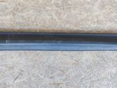 Front door trim (molding)