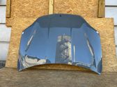 Motorhaube