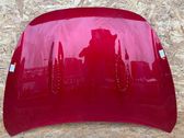 Motorhaube