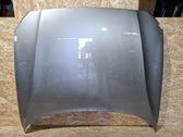 Engine bonnet/hood