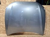 Motorhaube