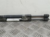 Tailgate/trunk strut/damper