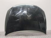 Motorhaube