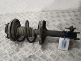 Amortiguador delantero con muelle espiral