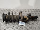 Amortiguador delantero con muelle espiral