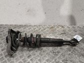 Amortiguador delantero con muelle espiral