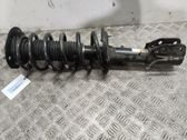 Front shock absorber with coil spring