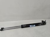 Tailgate/trunk strut/damper