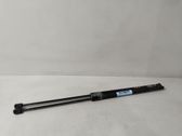 Tailgate/trunk strut/damper