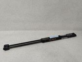 Tailgate/trunk strut/damper