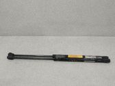 Tailgate/trunk strut/damper