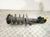 Amortiguador delantero con muelle espiral