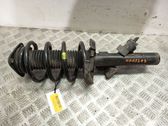 Amortiguador delantero con muelle espiral