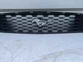 Front grill