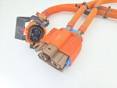 Cable de carga del coche eléctrico