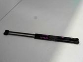 Tailgate/trunk strut/damper