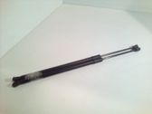 Tailgate/trunk strut/damper