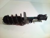 Front shock absorber with coil spring