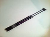 Tailgate/trunk strut/damper
