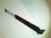 Tailgate/trunk strut/damper