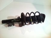 Front shock absorber with coil spring