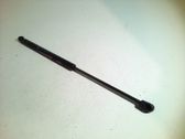 Tailgate/trunk strut/damper