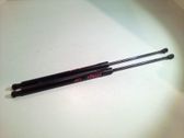 Tailgate/trunk strut/damper