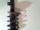 Front shock absorber with coil spring
